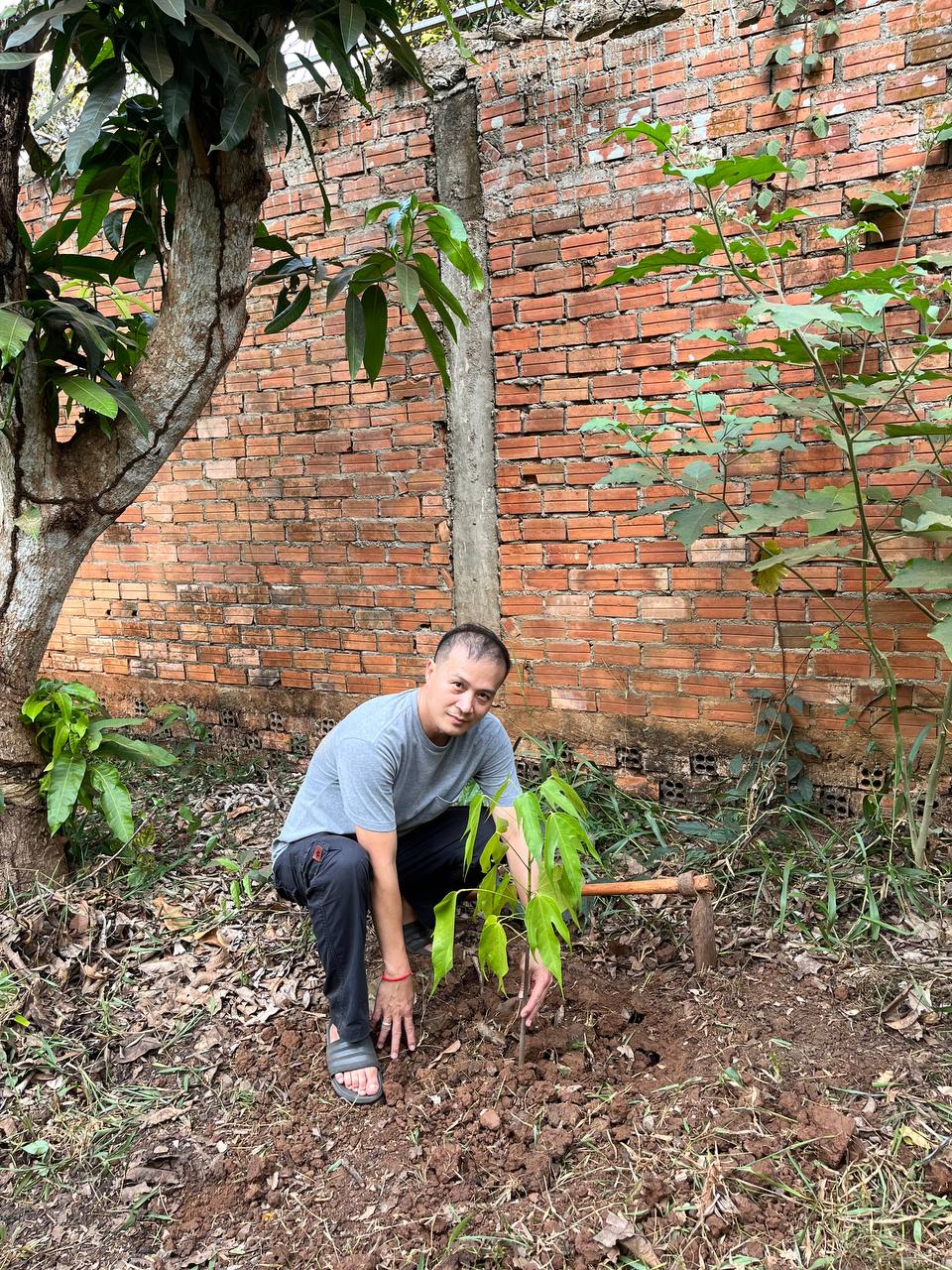 កូនដើមសំរង