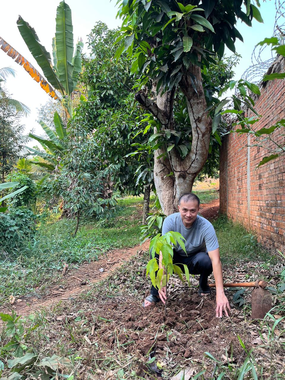 កូនដើមសំរង