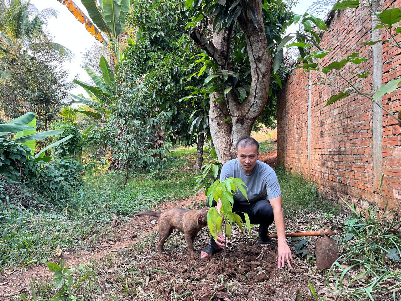 កូនដើមសំរង