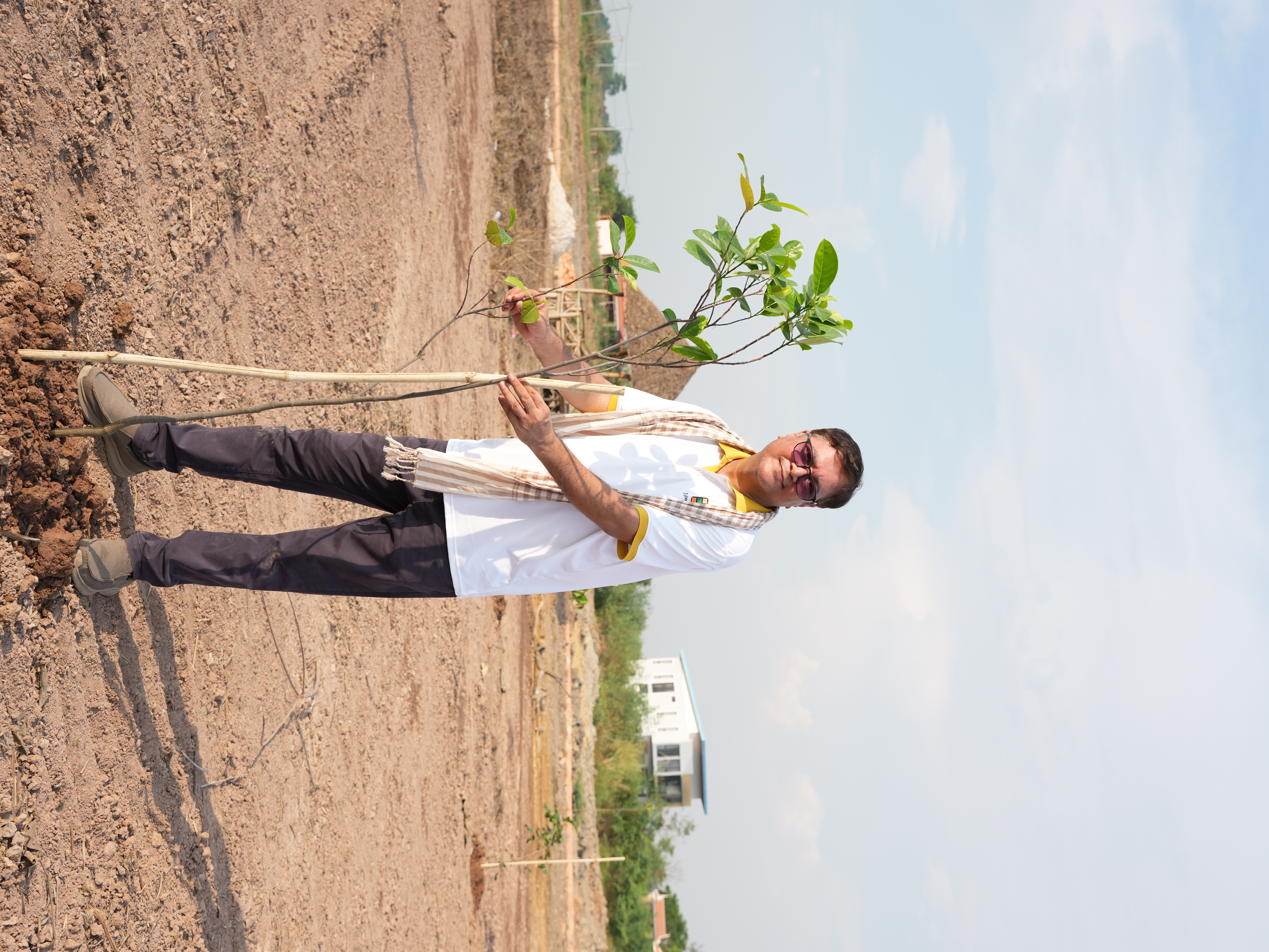 Individual Tree