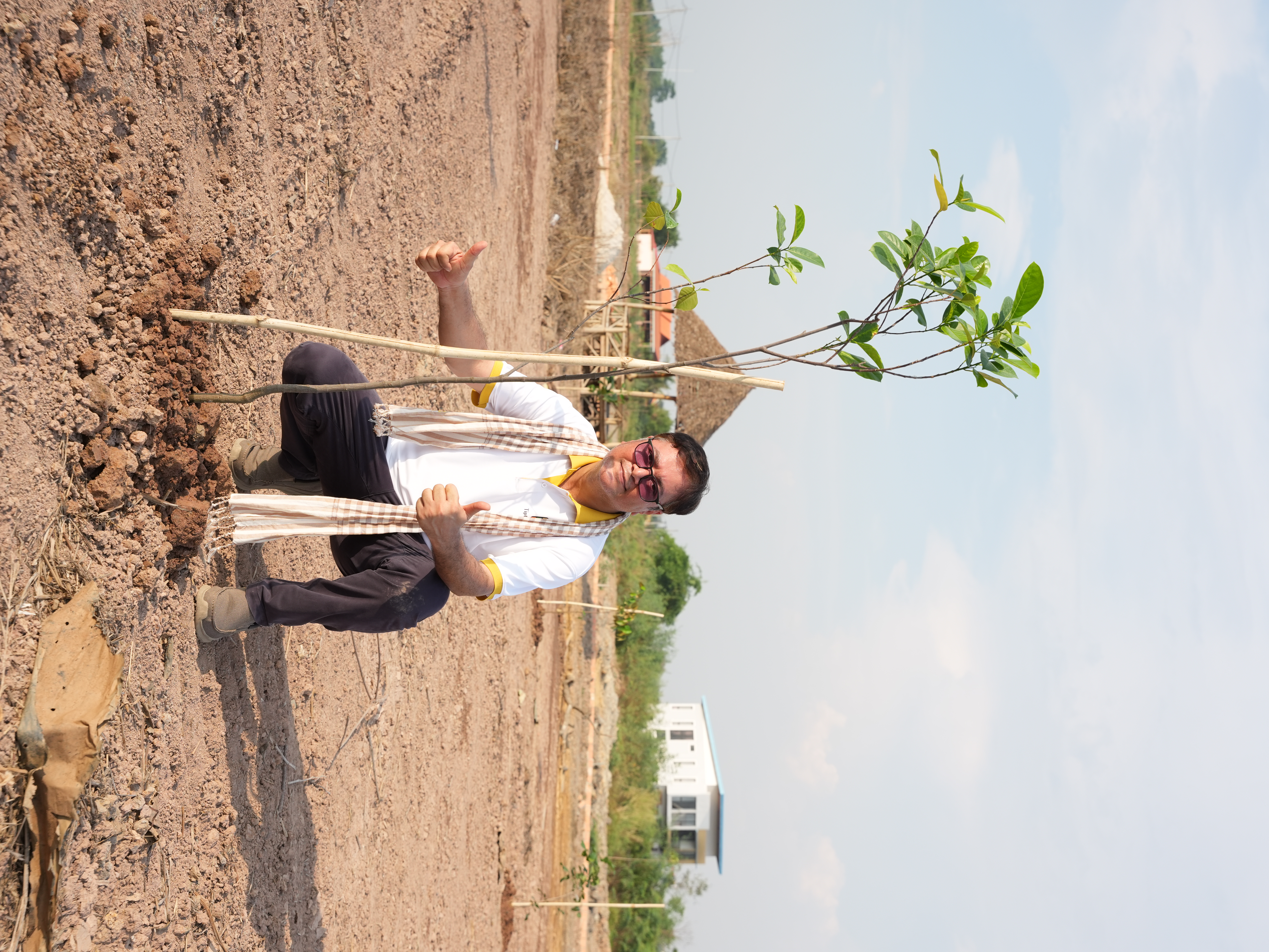Individual Tree