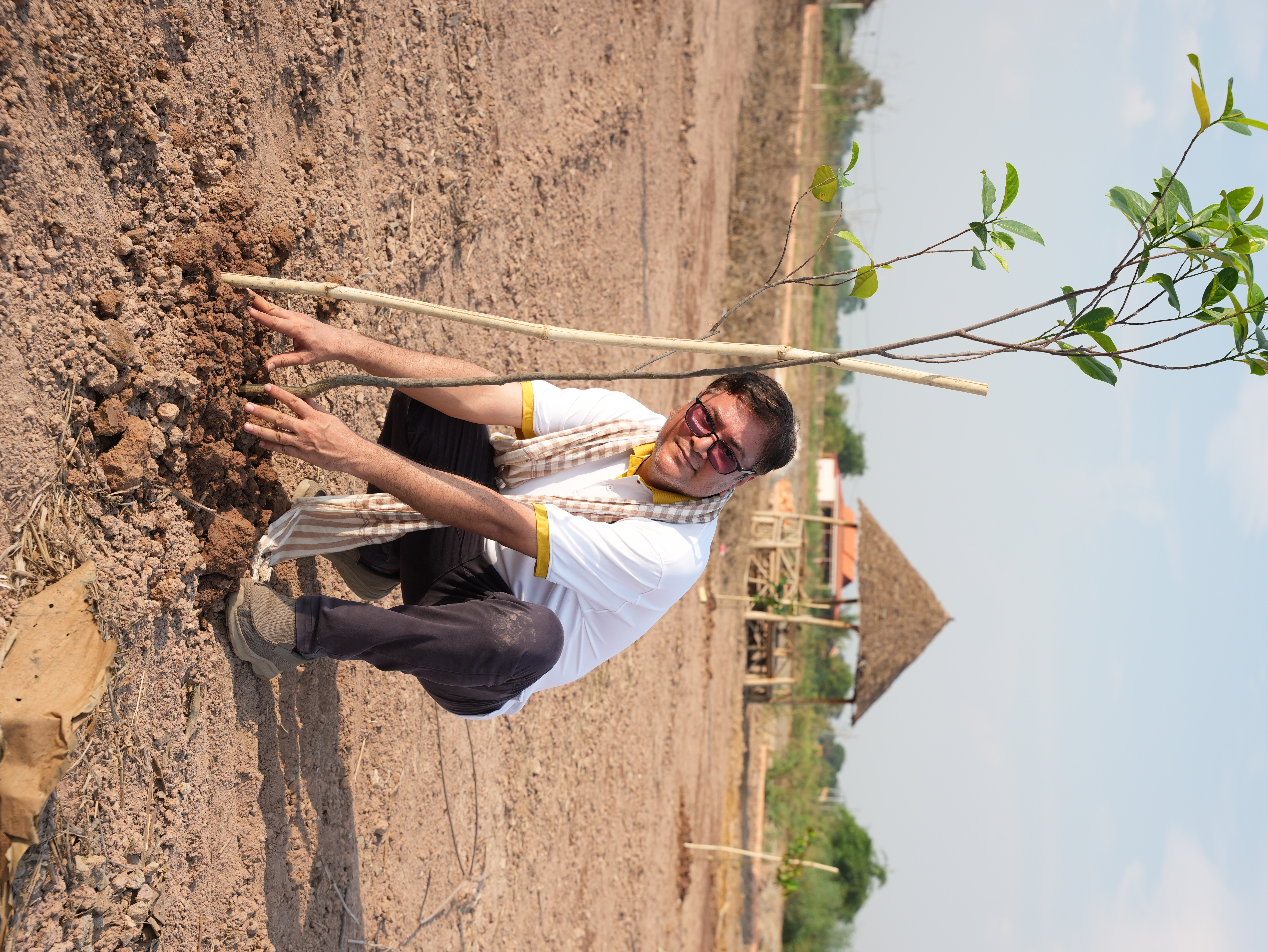 Individual Tree
